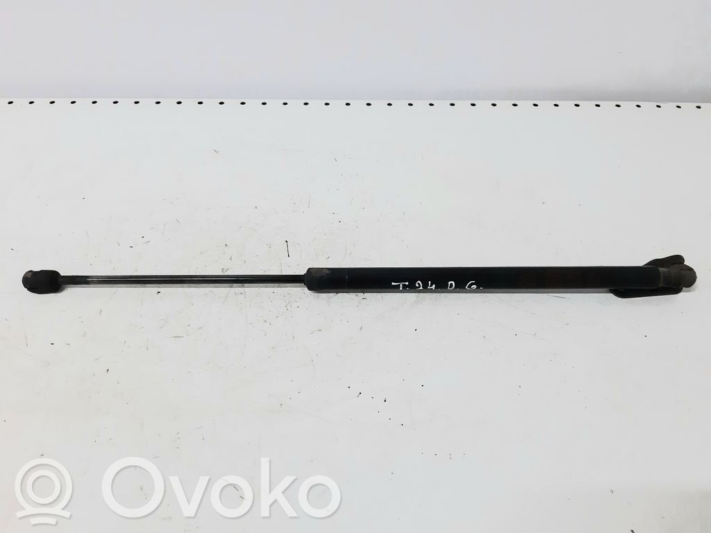 Tailgate/trunk strut/damper