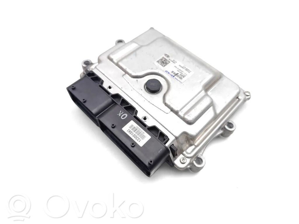 Engine control unit/module   3910304CD0