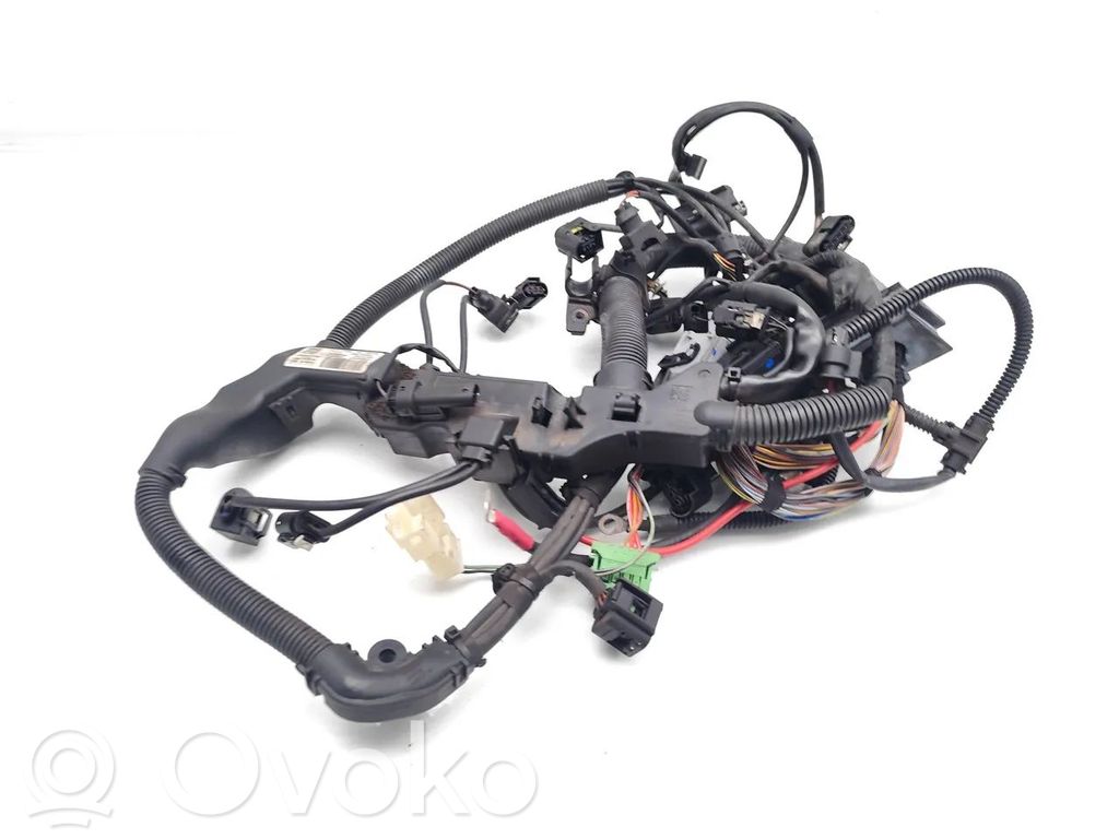 Engine installation wiring loom   7580597,5001894259,EG00365387
