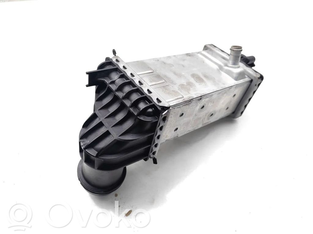 Volkswagen Polo VI Interkūlerio radiatorius 