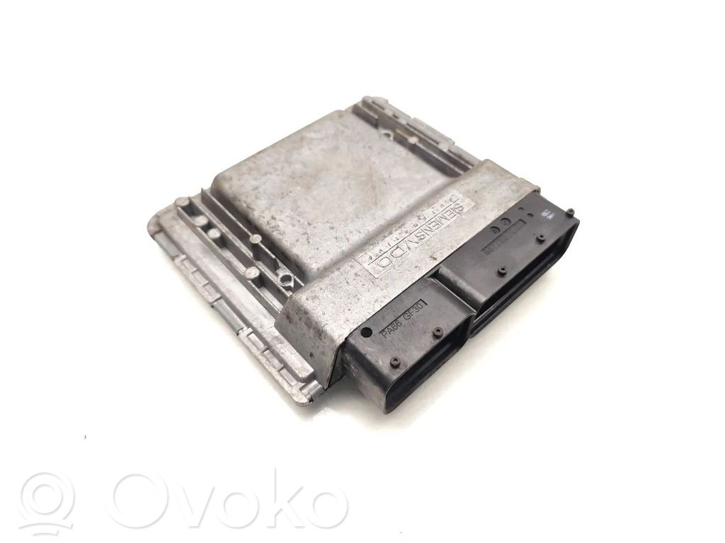 Ford Focus Engine control unit/module 