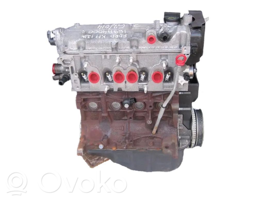 Variklis   169A4000