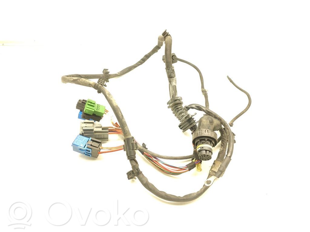 Engine installation wiring loom   738051,738051011B