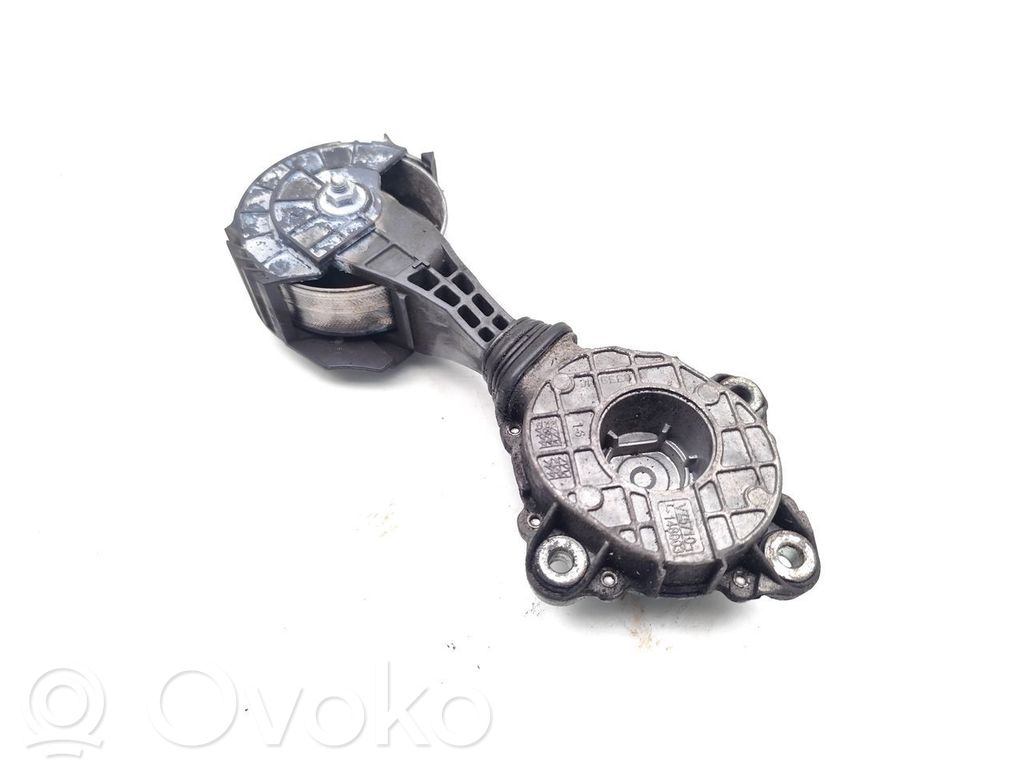 Citroen Xsara Picasso Întinzător curea alternator 