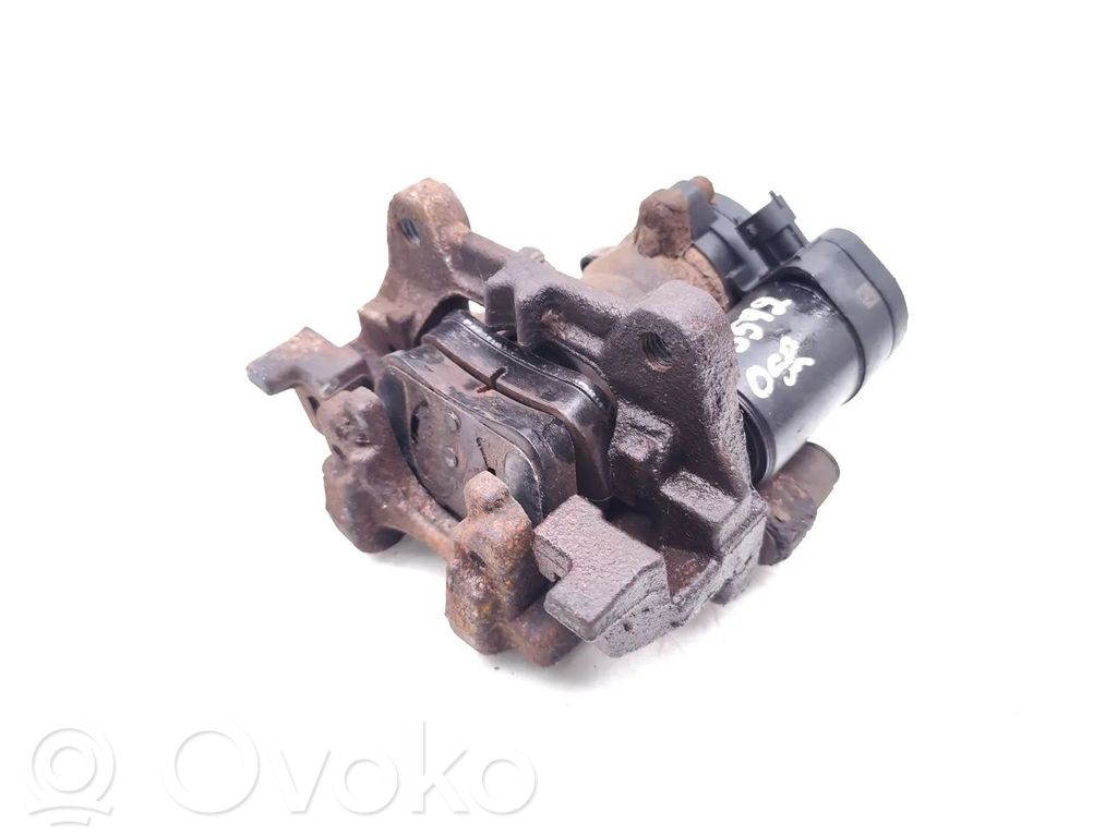 Takajarrusatula   DG9C2D250A