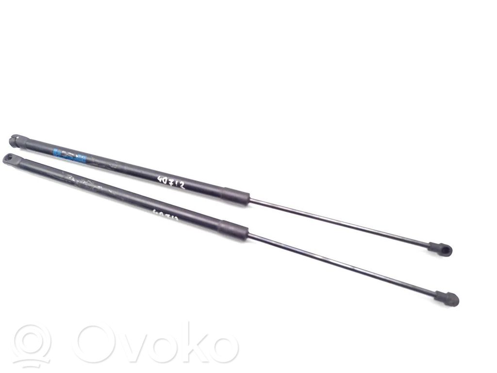 Chevrolet Cruze Tailgate/trunk strut/damper 