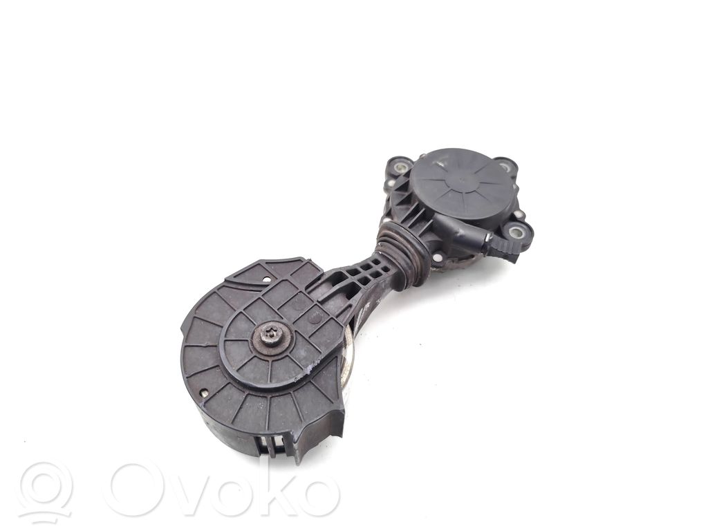 Peugeot 207 Napinacz paska wielorowkowego / Alternatora 