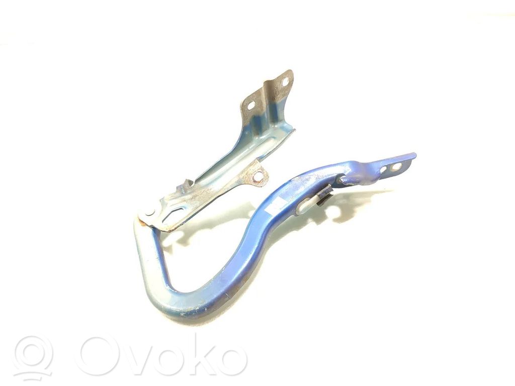 Engine bonnet/hood hinges