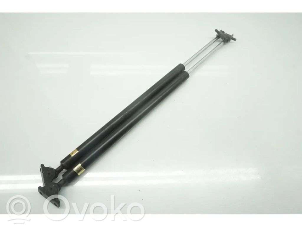 Tailgate/trunk strut/damper