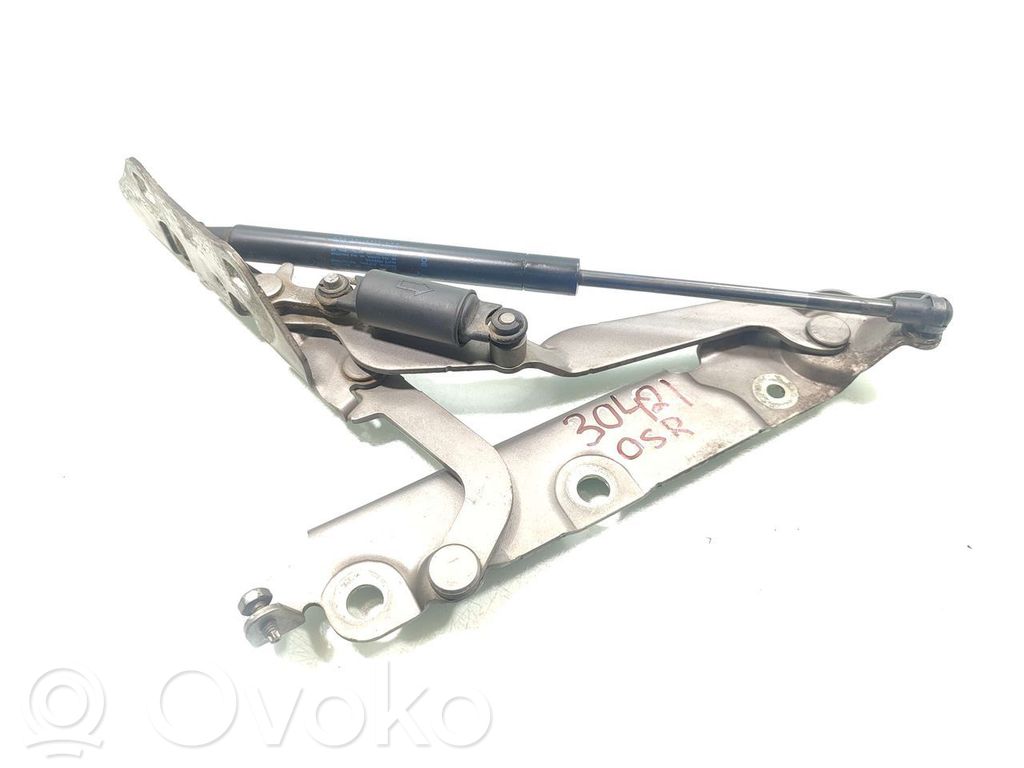 Jaguar XF Cerniera portellone posteriore/bagagliaio