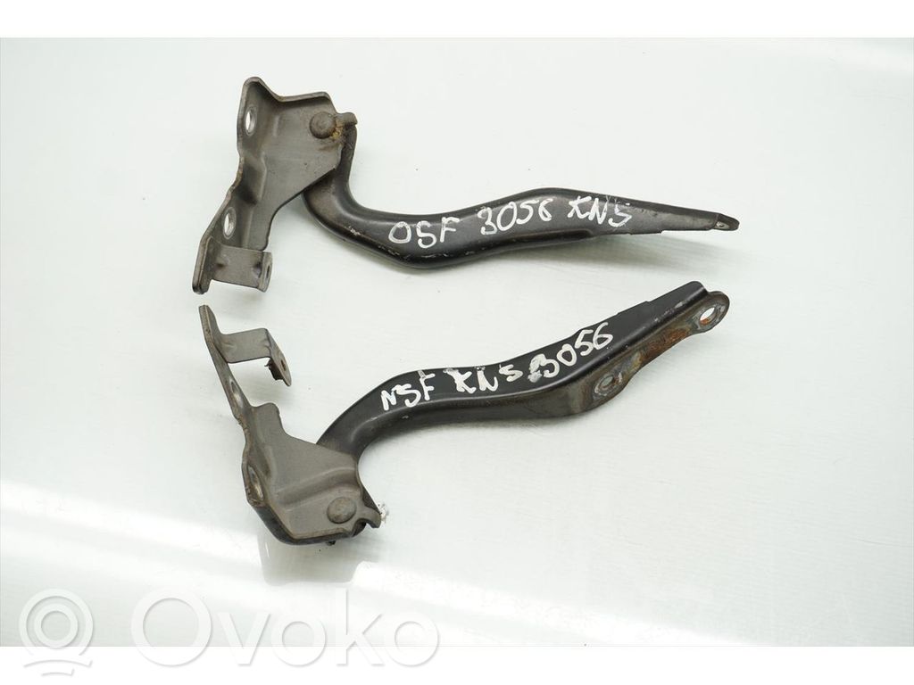 Bisagras del capó/tapa del motor