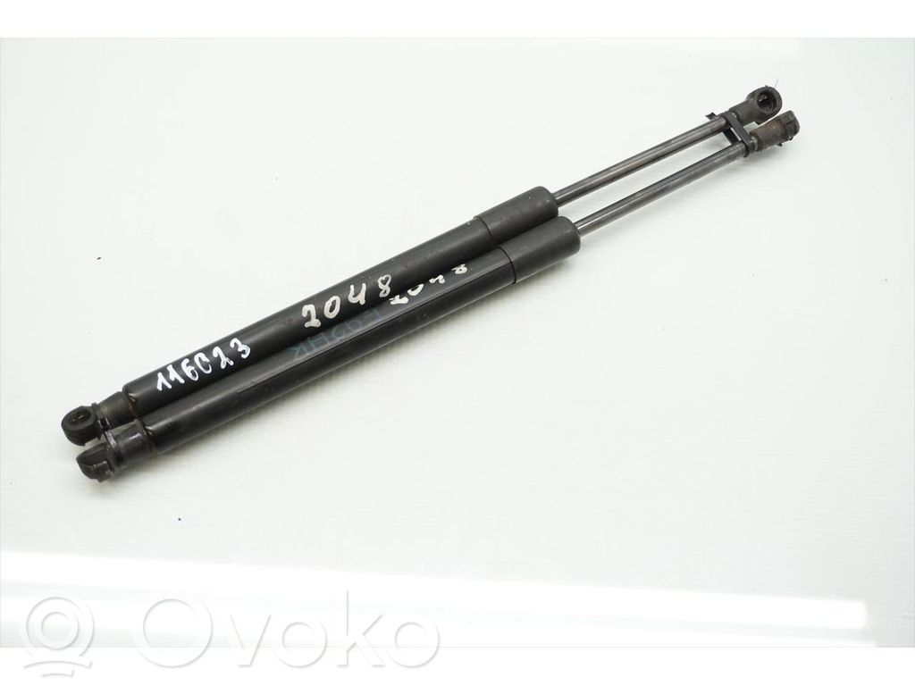 Tailgate/trunk strut/damper   7129194
