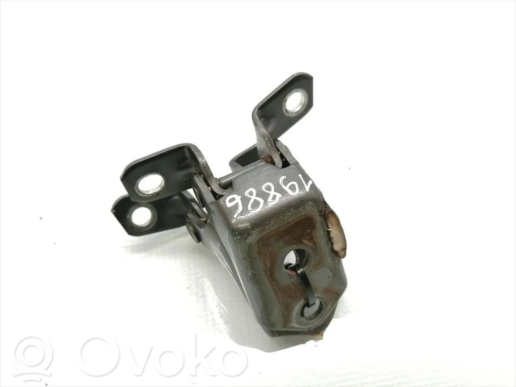 Front door hinges set