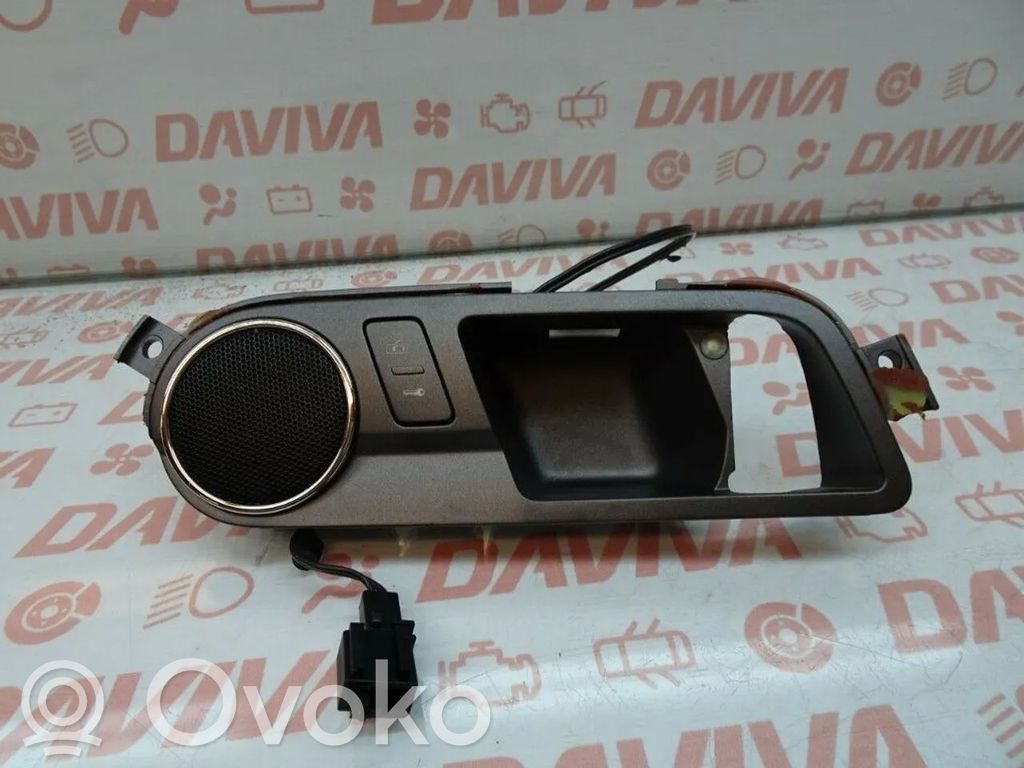 Volkswagen Phaeton Takaoven sisäkahvan kehys 