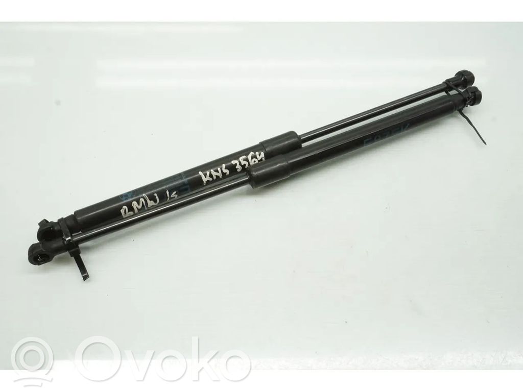 Tailgate/trunk strut/damper   7118370