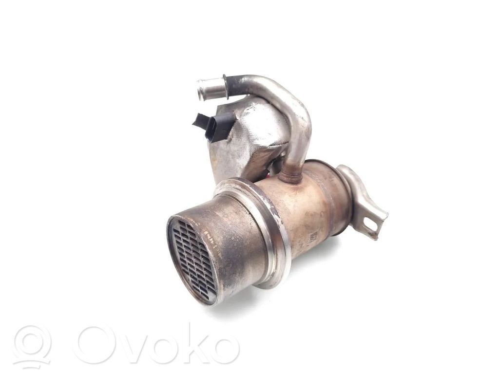 Volkswagen Golf Cross Răcitor supapă EGR 