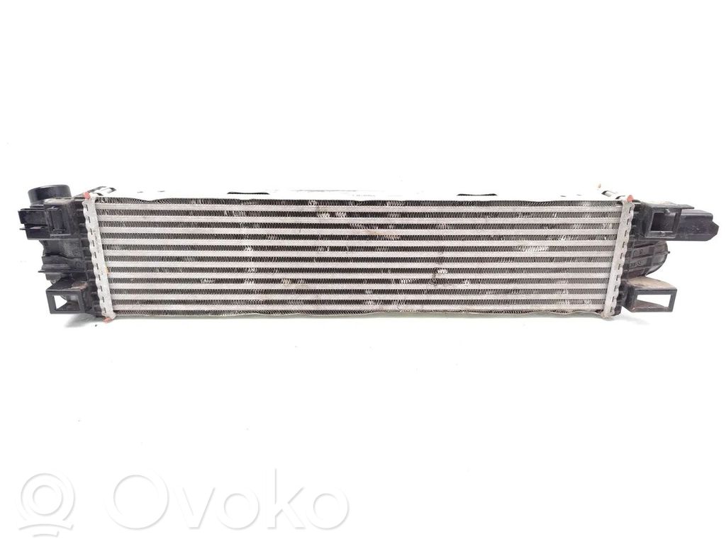 Intercooler radiator   70820314,99001059