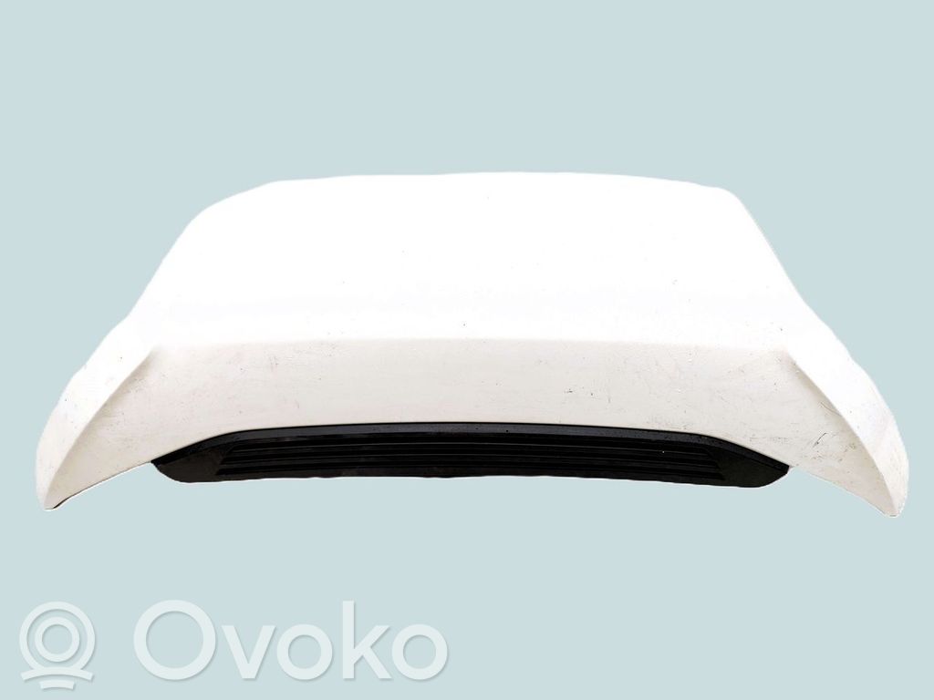 Dzinēja pārsegs (vāks)