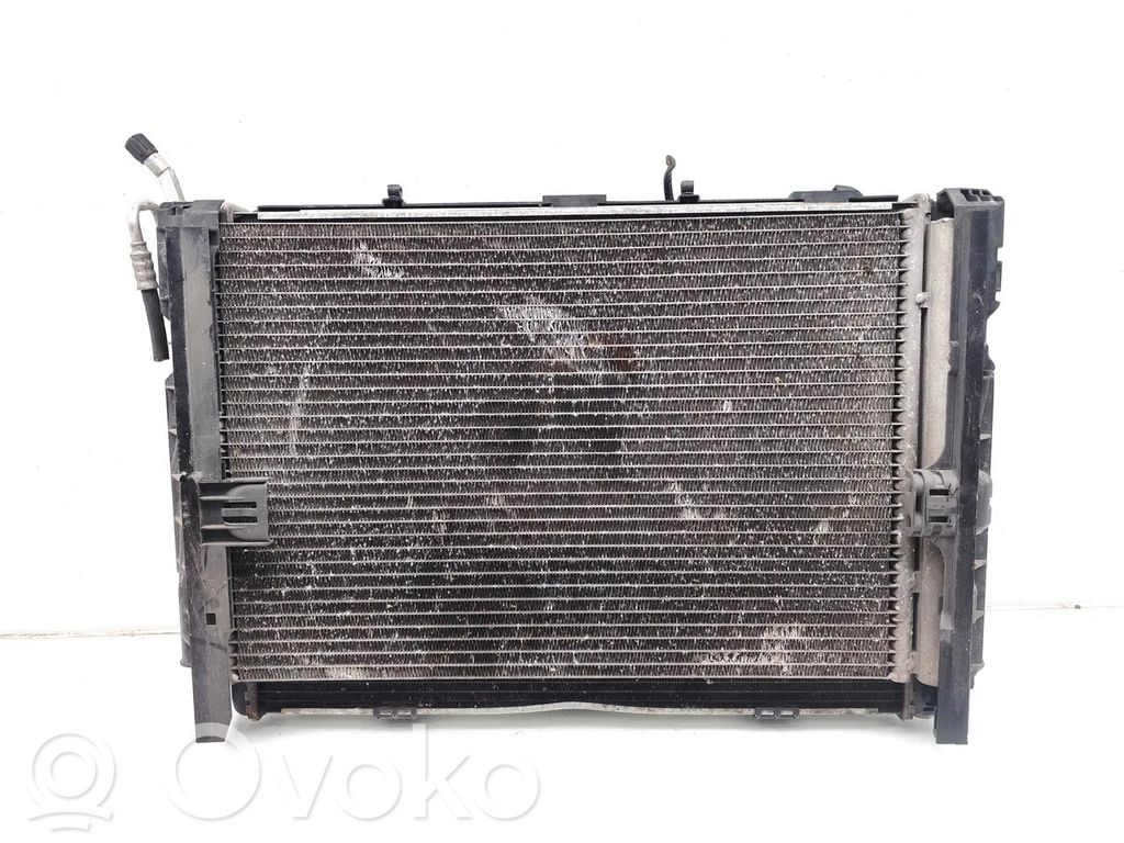 BMW 1 E81 E87 Set del radiatore 