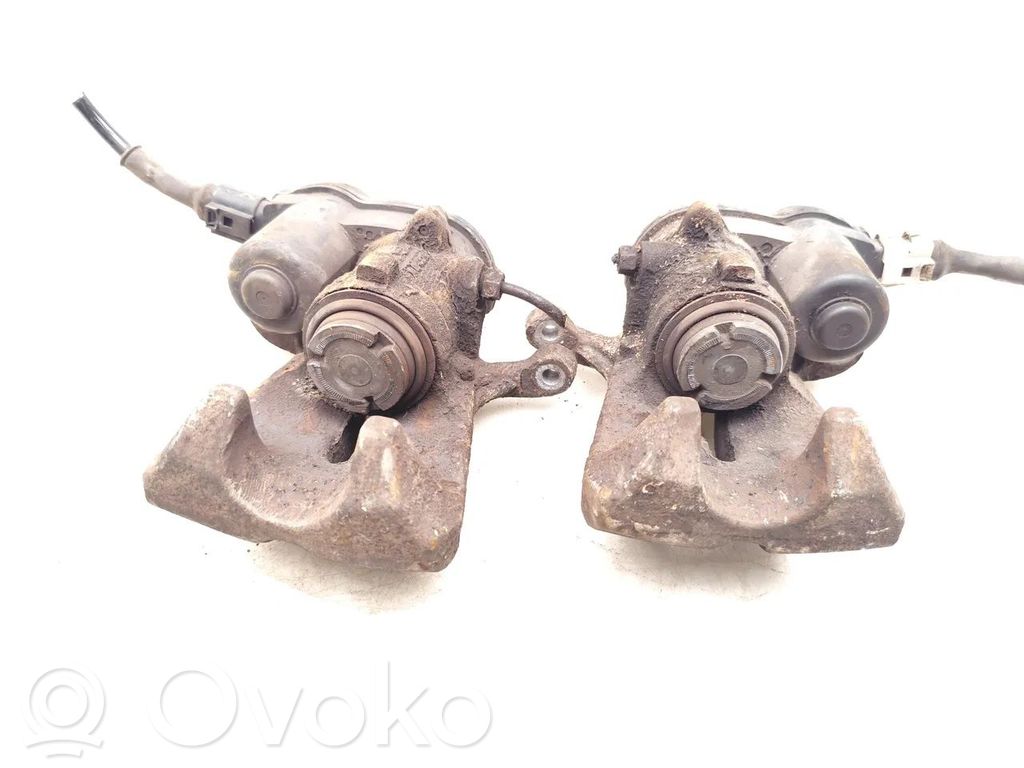 Takajarrusatula