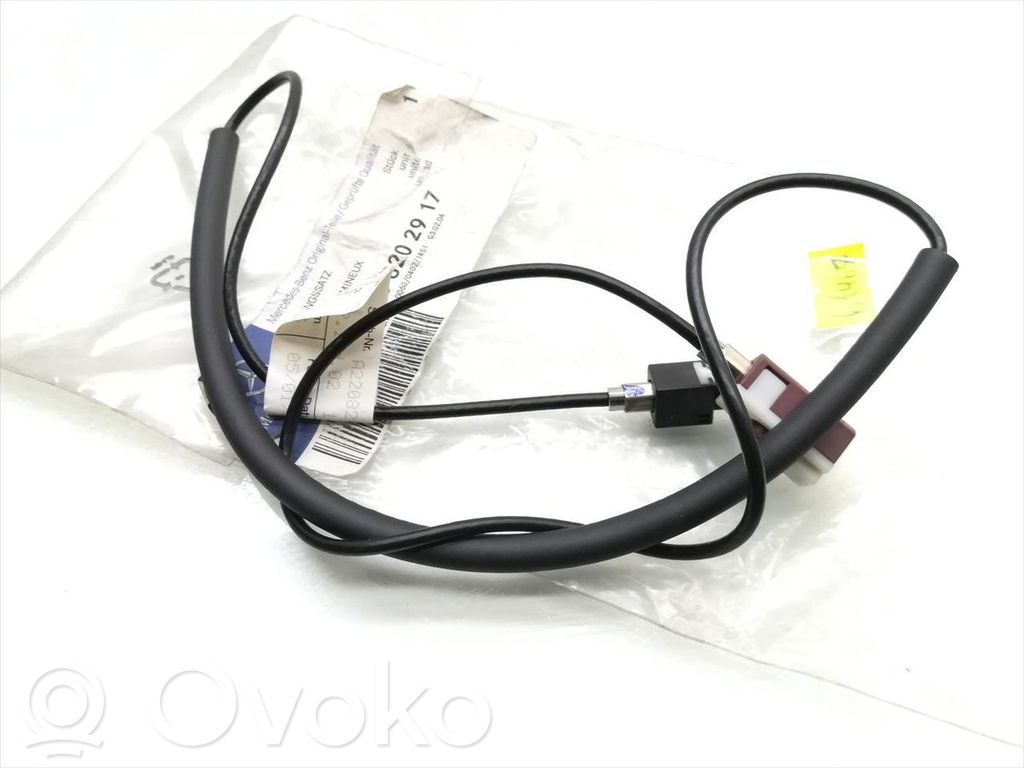 Cables del panel   A2208202917