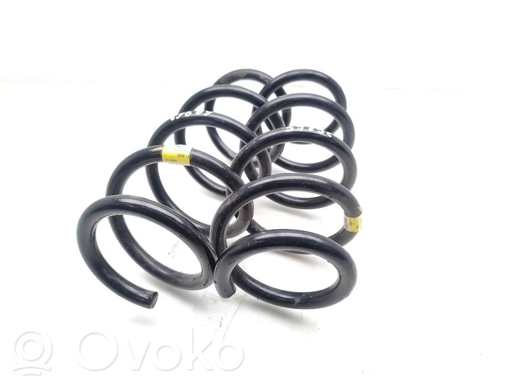 Tesla Model 3 Rear coil spring 