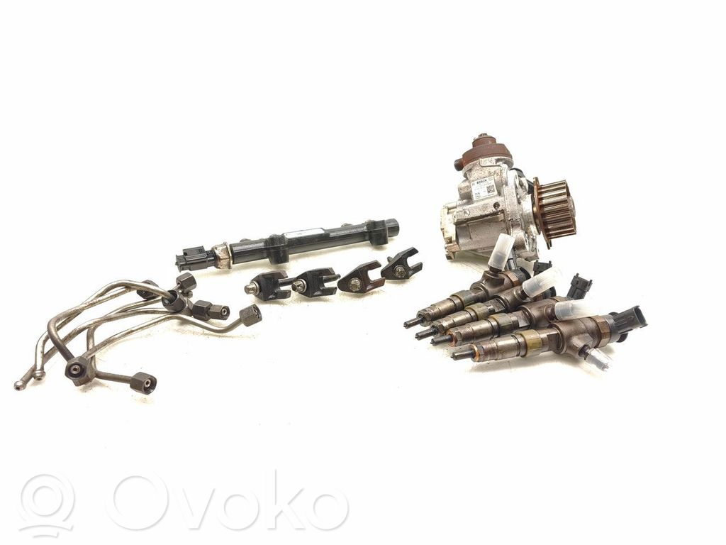 Citroen C4 II Picasso Kraftstoffeinspritzsystem set