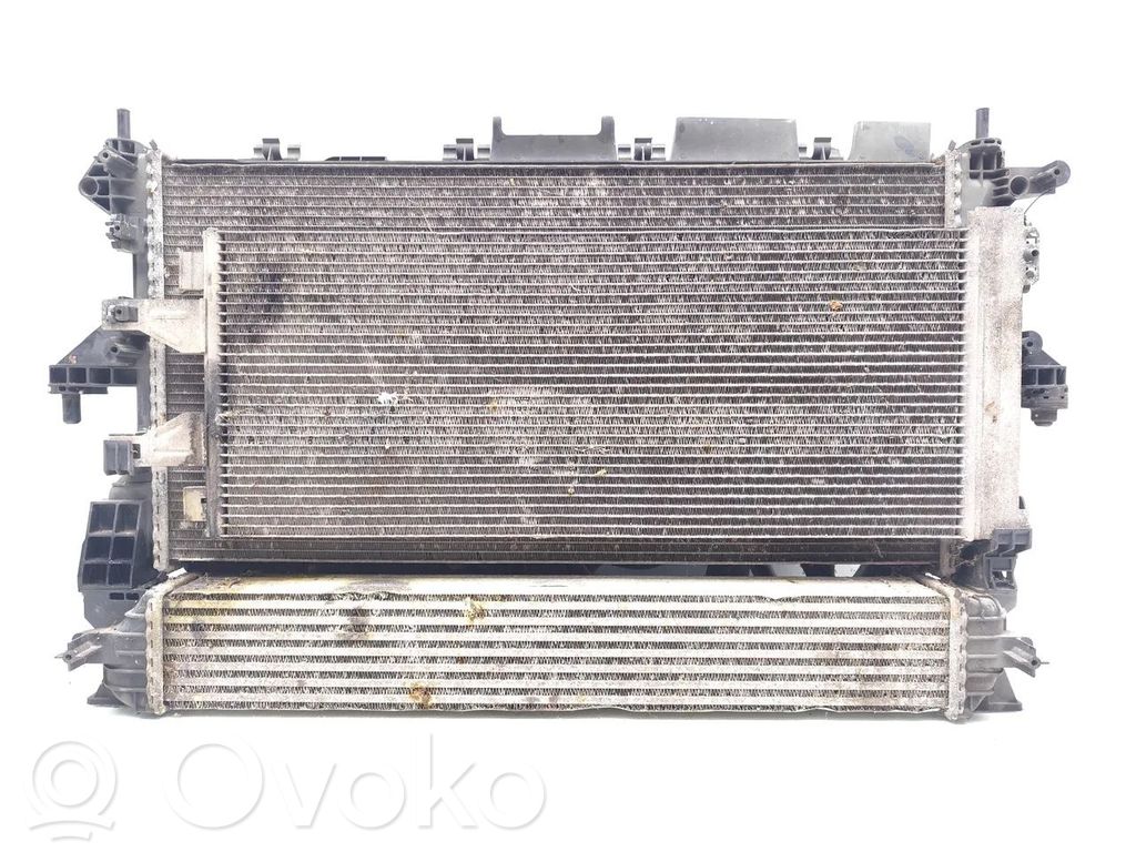 Radiator set   52181956