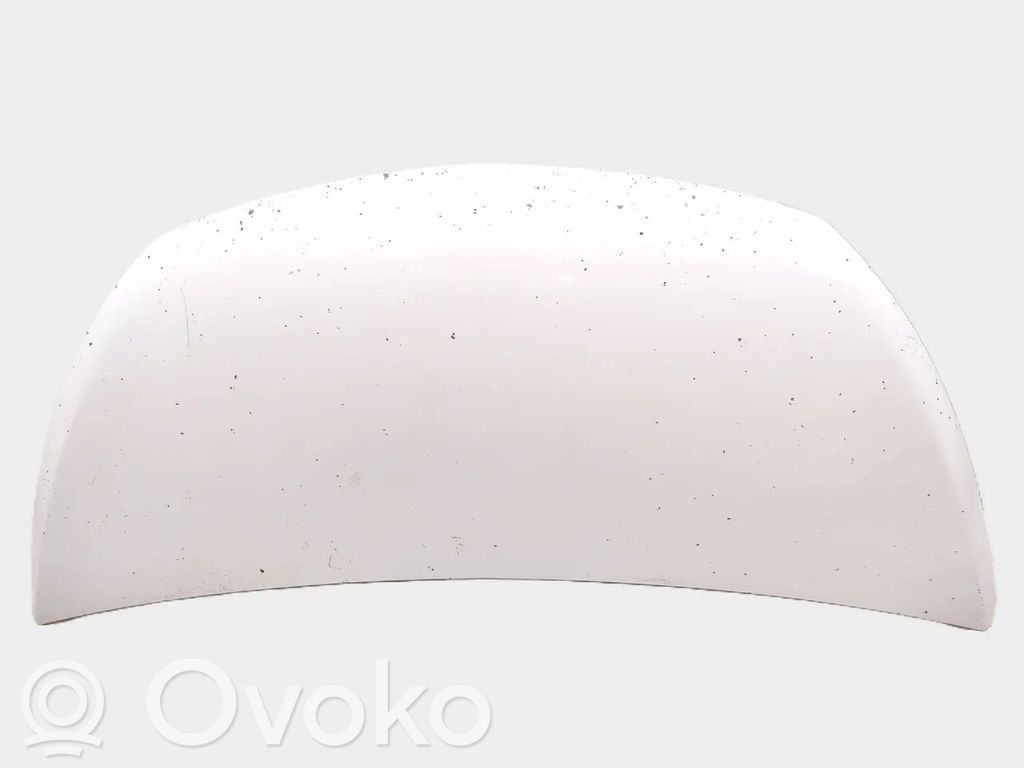 Dzinēja pārsegs (vāks)