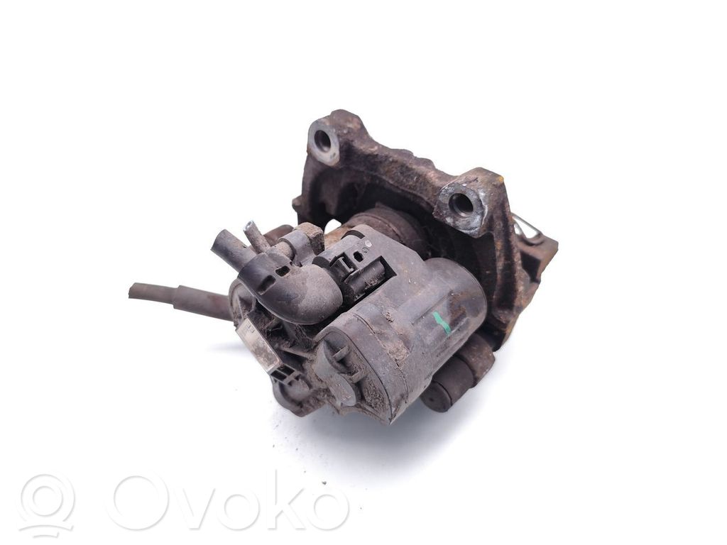 Takajarrusatula   5Q0615405