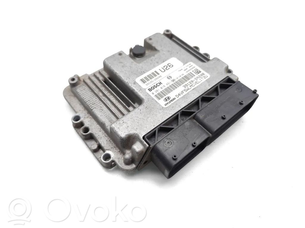 Engine control unit/module   391202A208,0281018491