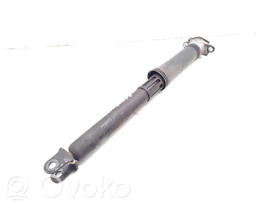 BYD Dolphin Stoßdämpfer hinten 