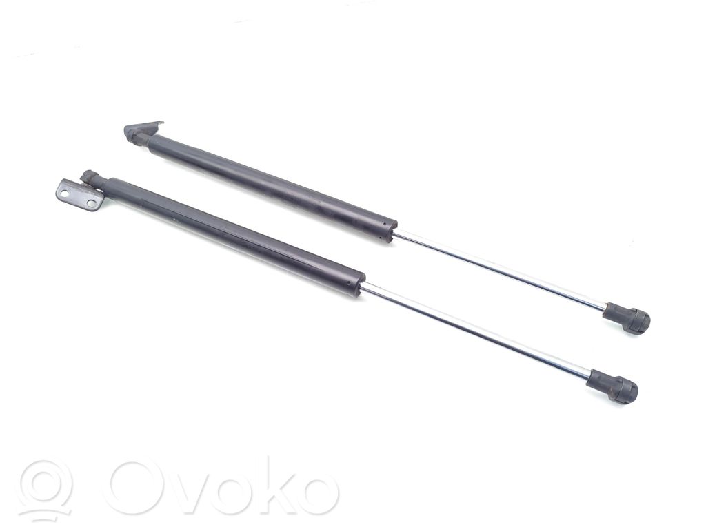 Tailgate/trunk strut/damper   17C16AC2