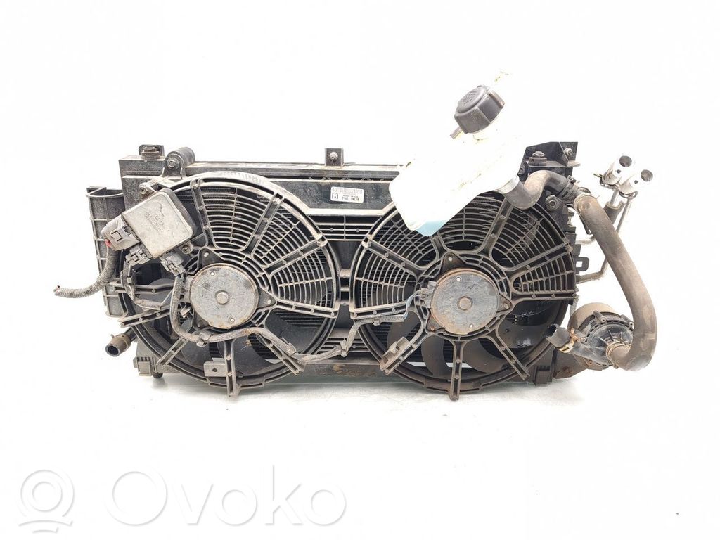 Nissan Leaf I (ZE0) Radiator lichid răcire