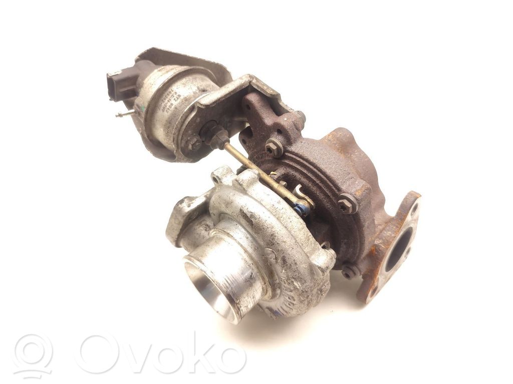 Turbina   55567731