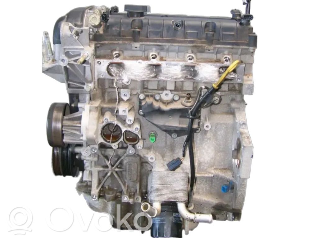 Ford Focus Motor