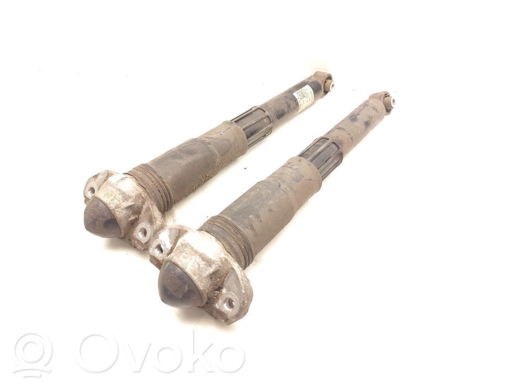 Stoßdämpfer hinten   1EA512013AK