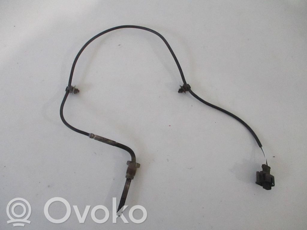 Chevrolet Captiva Exhaust gas temperature sensor 