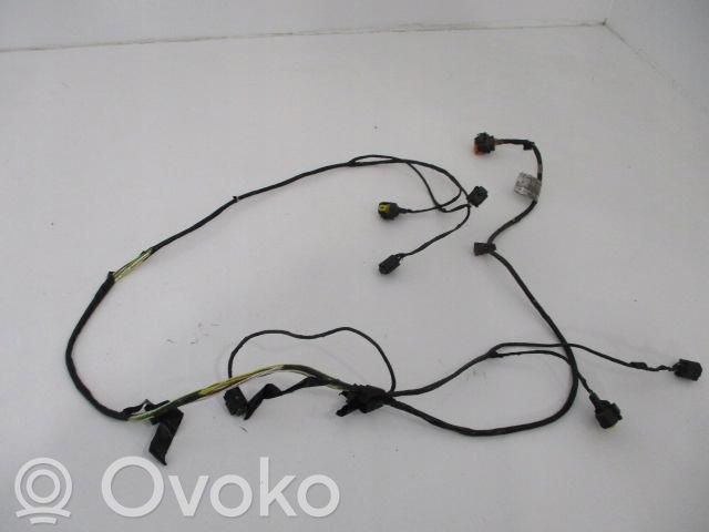 Citroen C5 Arnés/cableado de puerta delantera 