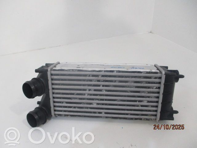 Peugeot 5008 Intercooler radiator 