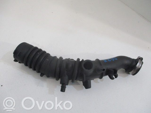 Renault Clio III Šļūtene (-es) / caurule (-es) 