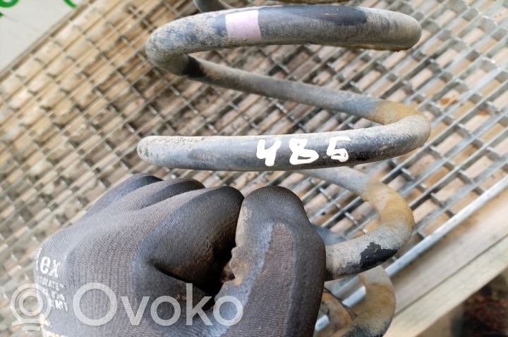 Rear coil spring