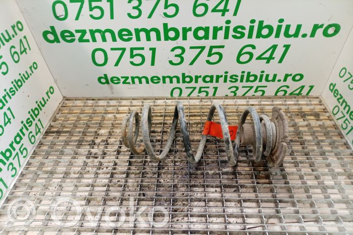 Front coil spring