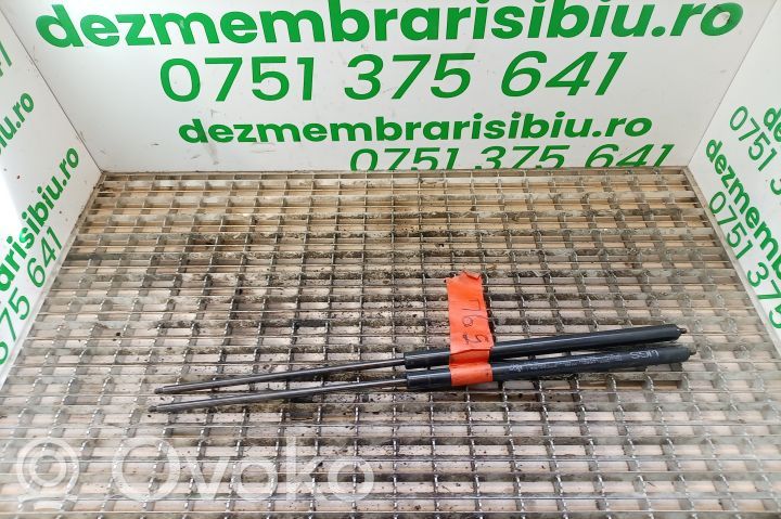 Tailgate/trunk strut/damper