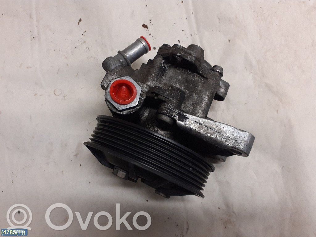 Power steering pump   4038768