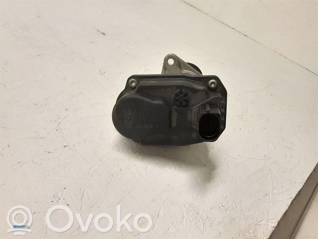EGR vožtuvas   059131503T