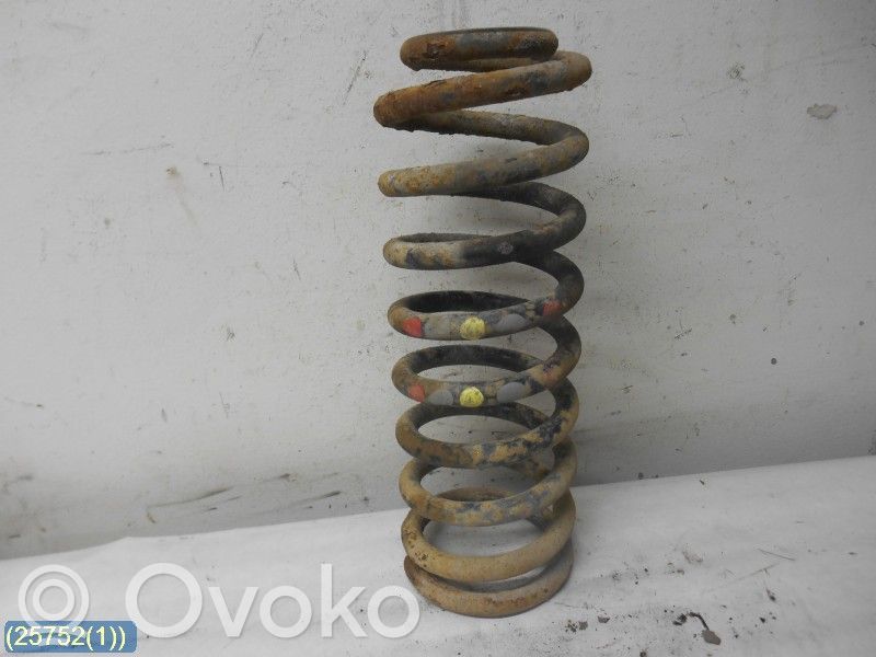 Rear coil spring
