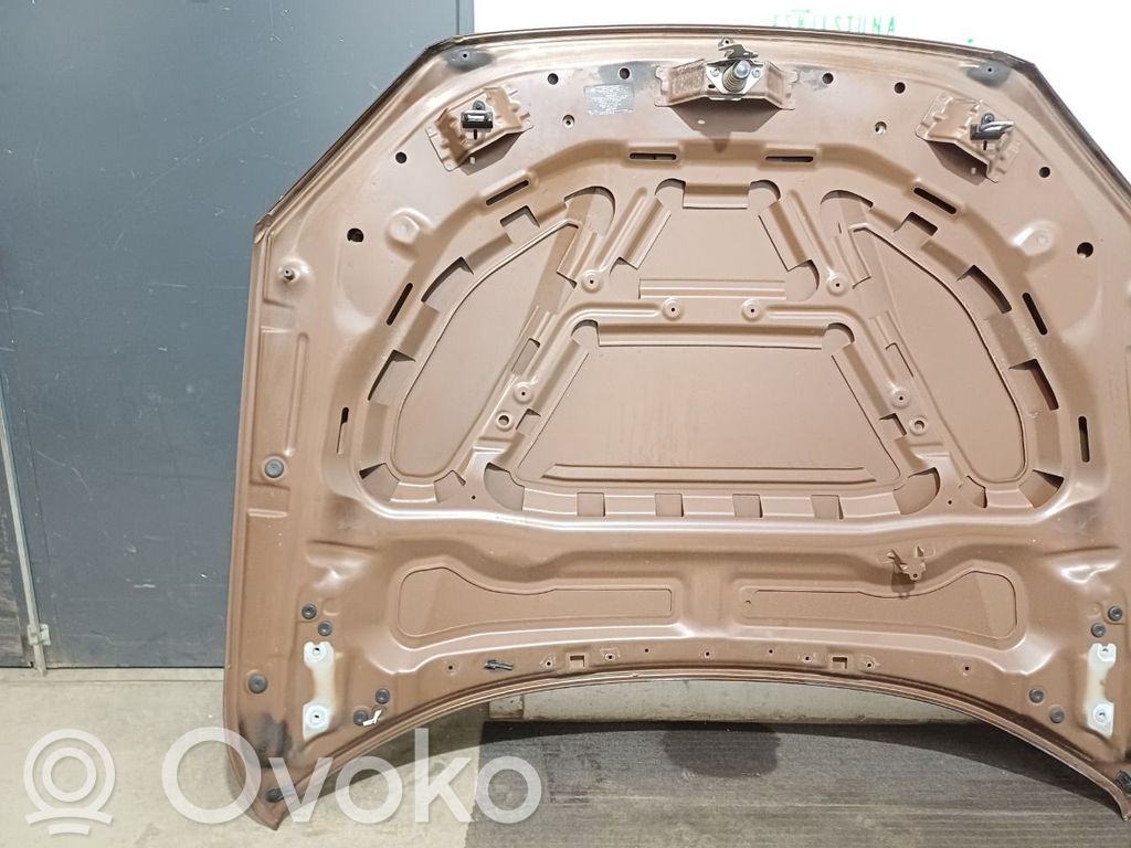 Dzinēja pārsegs (vāks)   41002993151