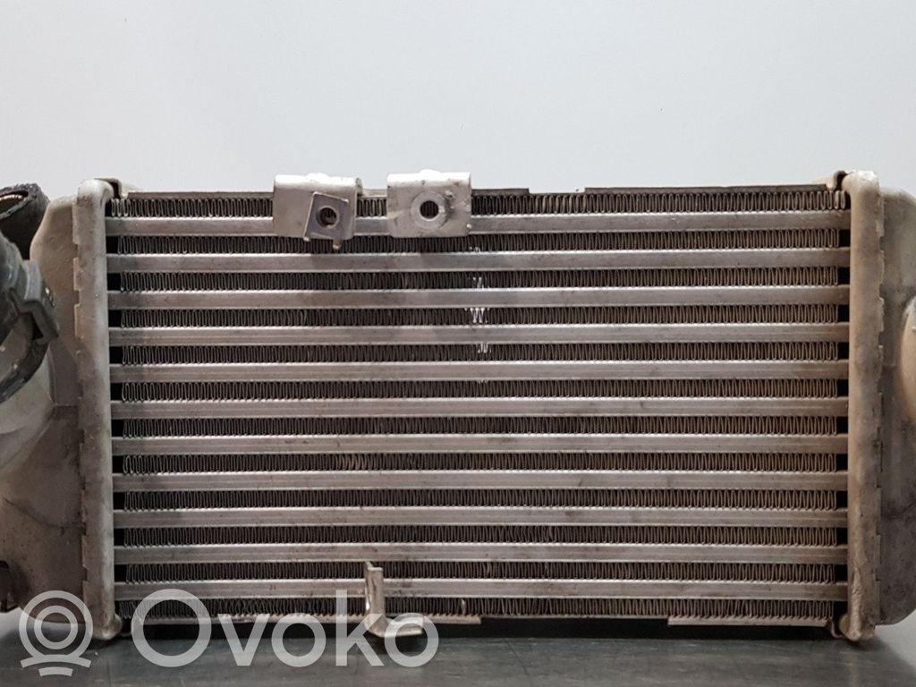 KIA Rio Interkūlerio radiatorius 