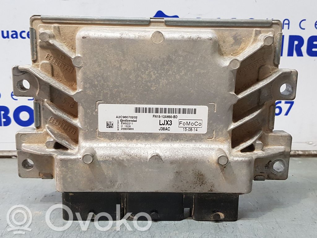 Engine control unit/module   FN1512A650BD